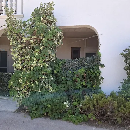 Sunshine Milin * Jezera