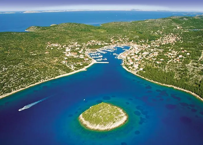 Sunshine Milin * 제제라